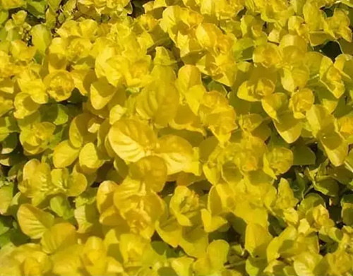 1574944896470456.png image.png