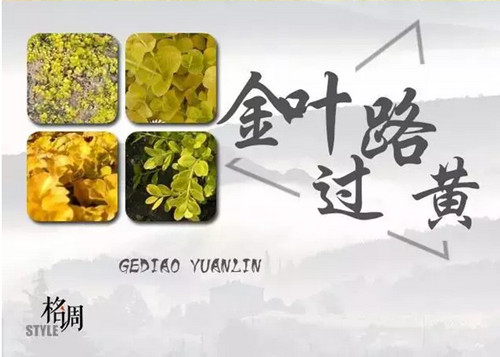 1574944903734302.png image.png