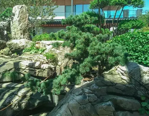 1574944939778083.png image.png