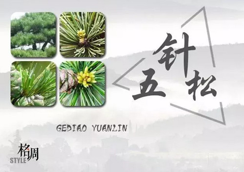 1574944949525267.png image.png