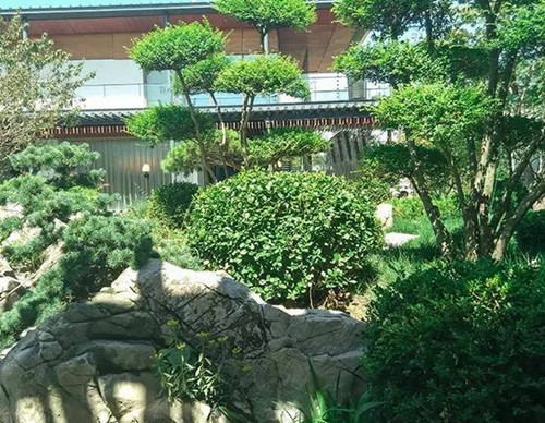 1574944961525792.png image.png