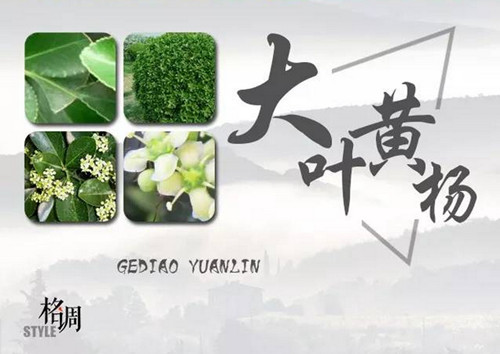 1574944969152948.png image.png