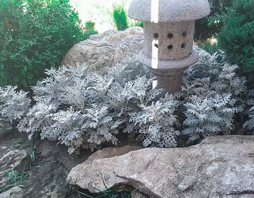 1574944987688039.png image.png