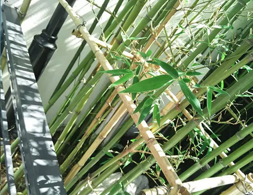 1574945011638959.png image.png