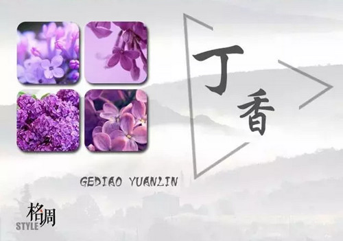 1574945042776872.png image.png